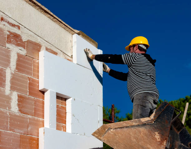 Best Types of Insulation in East Highland Park, VA