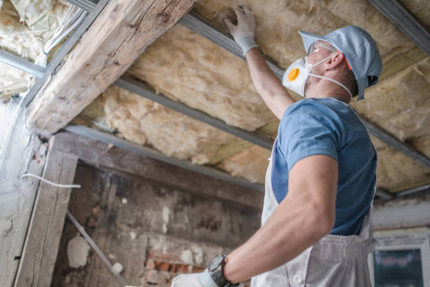Best Commercial Insulation in East Highland Park, VA