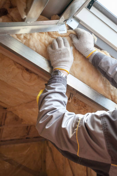 Best Insulation for Specific Applications in East Highland Park, VA