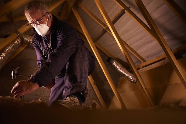 Best Residential Insulation in East Highland Park, VA