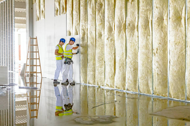 Best Insulation for Specific Applications in East Highland Park, VA